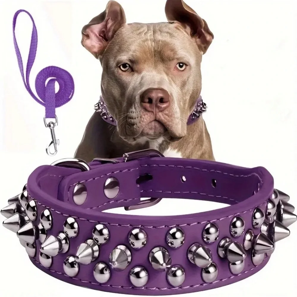Purple Spiked Dog Collar and Leash Set (M)